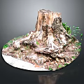 Organic Wooden Stone Tree Stump Featuring Exposed Roots And Green Plants Around