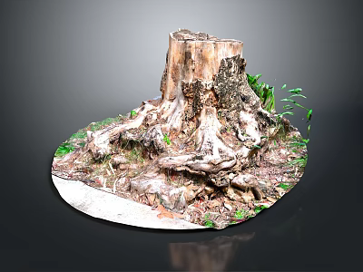 Organic Wooden Stone Tree Stump Featuring Exposed Roots And Green Plants Around 3d model