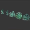 Various Decorative Plants with White Purple and Green Foliage Arranged in a Row