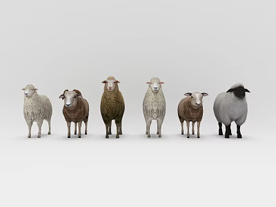 Six Different Colored Sheep Standing In A Row On White Background 3d model
