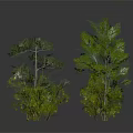 Various Types of Green Plants with Different Heights Shapes Trees and Shrubs 3D Rendering
