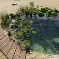 Natural Garden Landscape With Pond Water Lilies Wooden Walkway And Green Plants