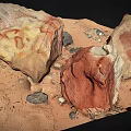 Natural Stone Materials Featuring Various Colors Different Shapes Small Gravel And Sand