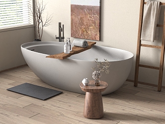 Bathtub 3d model