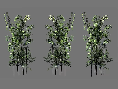 Green Bamboo Plants With Lush Leaves And Tall Stalks Arranged In Clusters 3d model