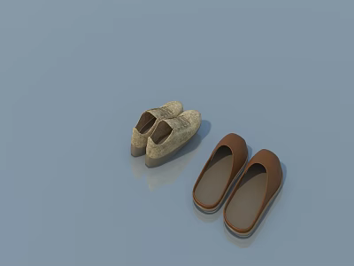 Two Pairs of Slippers in Beige and Brown on Light Blue Background 3d model