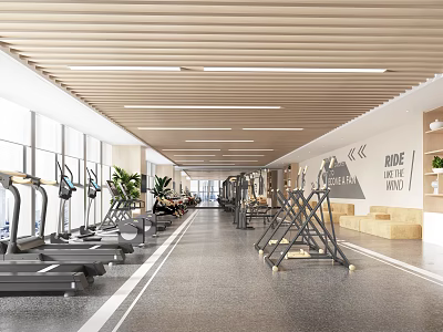 Spacious Modern Gym Interior With Treadmills Fitness Equipment And Plants 3d model