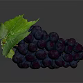 Fresh Juicy Deep Purple Grapes With Green Leaf And Plump Berries