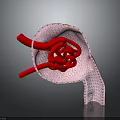 Detailed Human Skin Organ Anatomy With Hair Follicles Blood Vessels And Tissue Layers