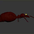3D Rendered Detailed Red Ant With Golden Eyes On Gray Background