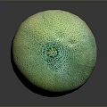 Juicy Ripe Green Yellow Netted Texture Melon on Smooth Black Surface for Daily Use