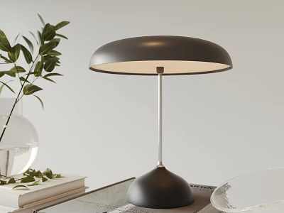 Modern Black Table Lamp With Silver Pole Round Lampshade On Tabletop Green Leaves And Books 3d model
