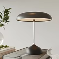 Modern Black Table Lamp With Silver Pole Round Lampshade On Tabletop Green Leaves And Books