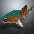 Shark with brown and turquoise body open mouth sharp teeth grey background 3d model