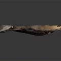 Detailed Trilobite Fossil with Oval Shape and Textured Surface on Dark Background