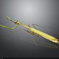 Light Green Mantis with Raptorial Forelegs in Alert Posture against Dark Background with Reflection