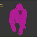 Realistic Gorilla With Black Fur And Detailed Texture In Standing Pose