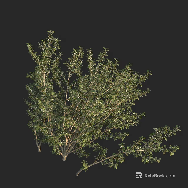 Lush Arbor Featuring Green Foliage And Natural Branch Patterns On Black Backdrop 3d model