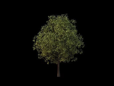 Lush Green Arbor with Dense Foliage and Brown Trunk Isolated on Black Background 3d model