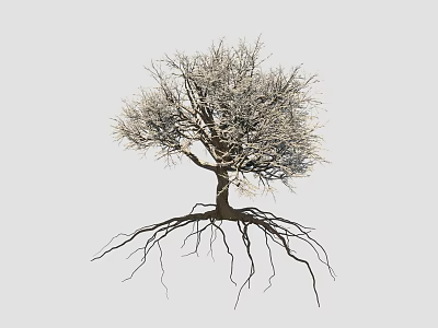 Modern plants trees winter trees 3d model Modern plants trees winter trees 3d model