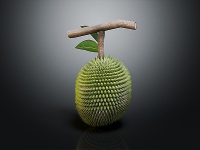 Modern Durian Tropical Fruit Durian Fruit model