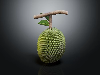 Fresh Durian Fruit With Spiky Green Exterior And Wooden Stem On Dark Background 3d model