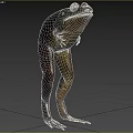 3D Model Of Aquatic Animal Frog Showing Realistic Body Structure And Long Legs
