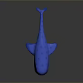 Realistic Blue Whale Shark Aquatic Animal 3D Model on Dark Background