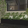 Lush Green Plant Wall With Monstera Vines White Flowers And Gray Planter By Window