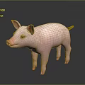 Cute Pink Piglet Standing On Shiny Black Surface With Soft Gray Background