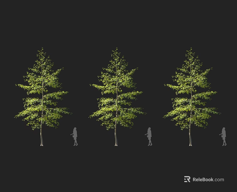 Three Tall Trees with Green Foliage and Human Silhouettes on Black Background 3d model 