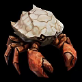 Detailed Crab With Textured White Shell And Brown Claws On Black Background