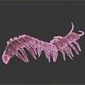 Detailed Red And Black Striped 3D Centipede Model On Grey Gradient Background