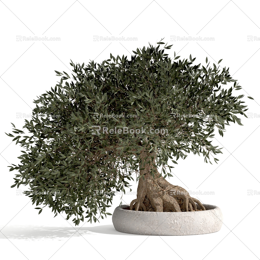 Bonsai Plants 08 3d model