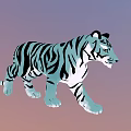 Blue and Black Striped Tiger Walking on Gradient Purple to Pink Background