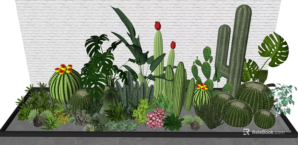 Diverse Indoor Plant Combination With Cactus Succulents Broad Leaf Plants And Red Flowers 3d model 