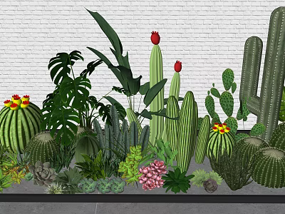 Diverse Indoor Plant Combination With Cactus Succulents Broad Leaf Plants And Red Flowers 3d model