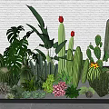 Diverse Indoor Plant Combination With Cactus Succulents Broad Leaf Plants And Red Flowers