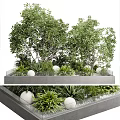 Lush Green Trees in Modern Rectangular Planter with Surrounding Shrubs and Decorative Stones 3d model