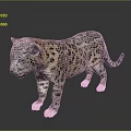 Realistic 3D Snow Leopard Cub With Spotted Fur Standing On Reflective Surface 3d model