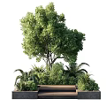 Lush Garden With Large Tree Surrounding Plants Wooden Bench And Flower Beds