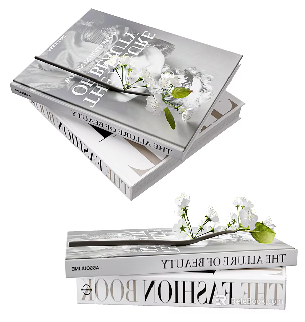 Stacked Art And Beauty Books With White Flowers On Top 3d model 