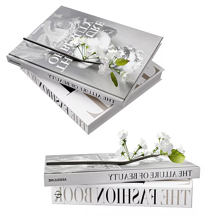 Stacked Art And Beauty Books With White Flowers On Top 3d model
