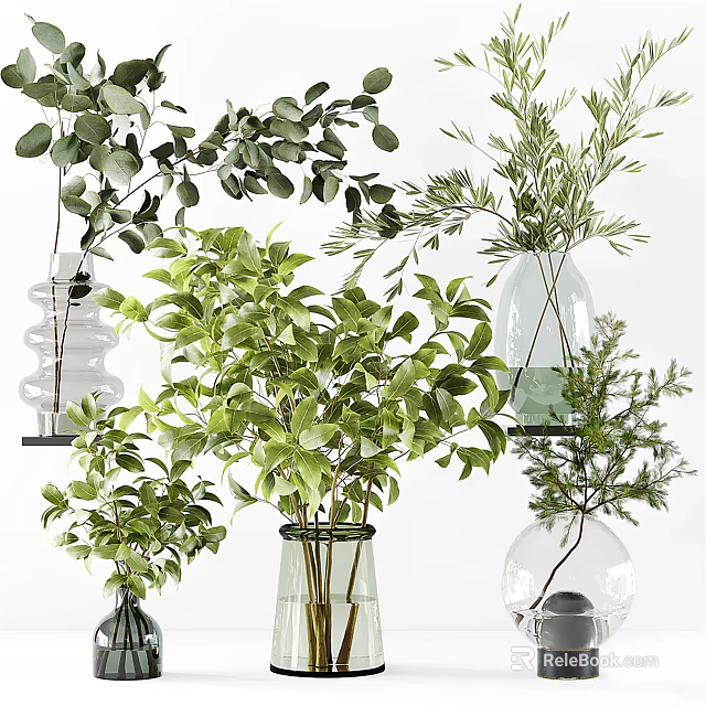 Decorative Transparent Glass Vases With Fresh Green Plants For Home Interior Decor 3d model 