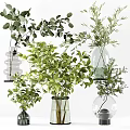 Decorative Transparent Glass Vases With Fresh Green Plants For Home Interior Decor