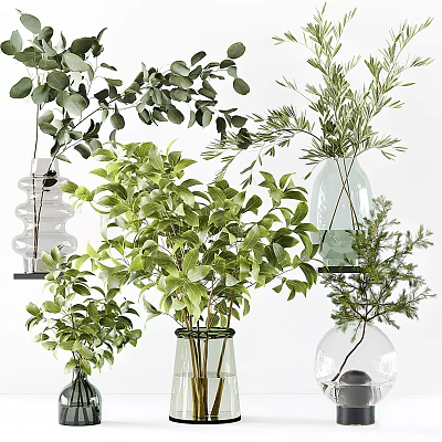 Decorative Transparent Glass Vases With Fresh Green Plants For Home Interior Decor 3d model