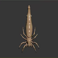 Detailed Copper Colored Spider Model Featuring Long Legs On Reflective Dark Background