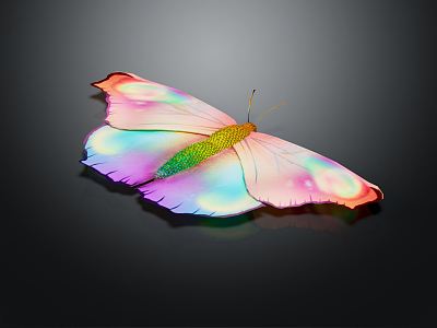 modern butterfly insect 3d model