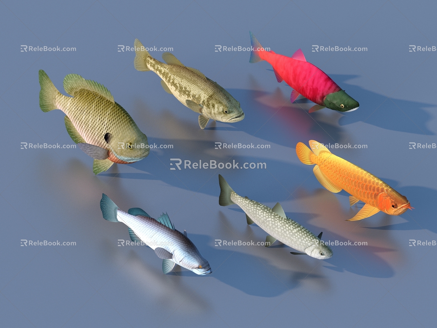 goldfish ornamental fish pet fish koi carp 3d model