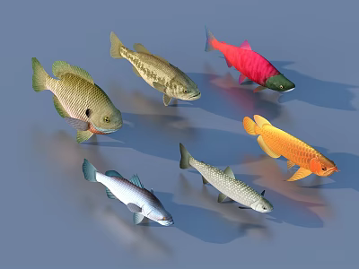 Six Aquatic Animals Fish With Various Colors Arranged On Gray Background 3d model